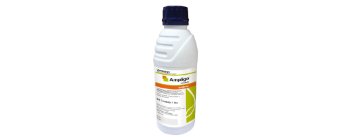 Ampligo