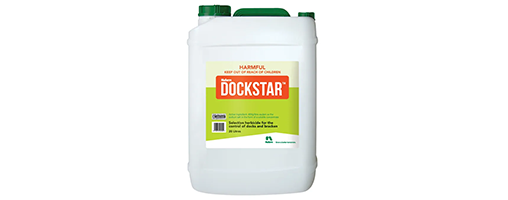 Dockstar