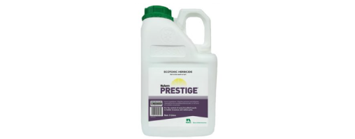 Prestige