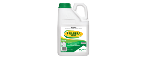 Primiera
