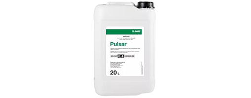 Pulsar