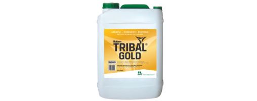 Tribal Gold
