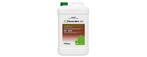 Cleverdim