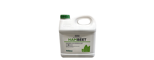 Hambeet