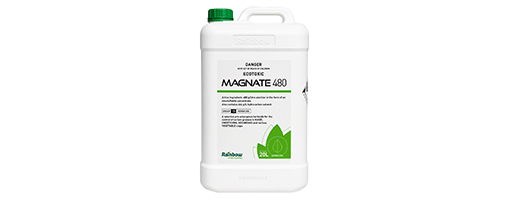 Magnate