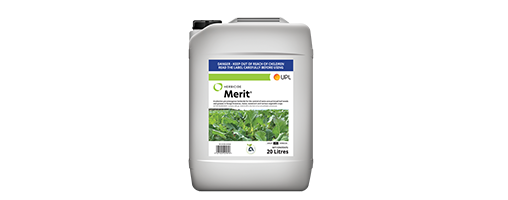 Merit