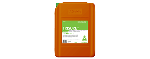 Trisure